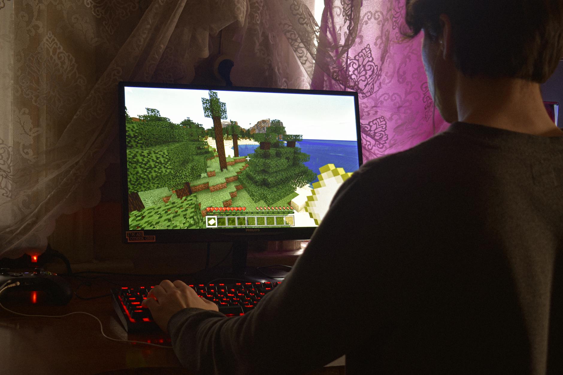 Minecraft sunucusu uzerinde DDoS koruma ile online oyun deneyimi