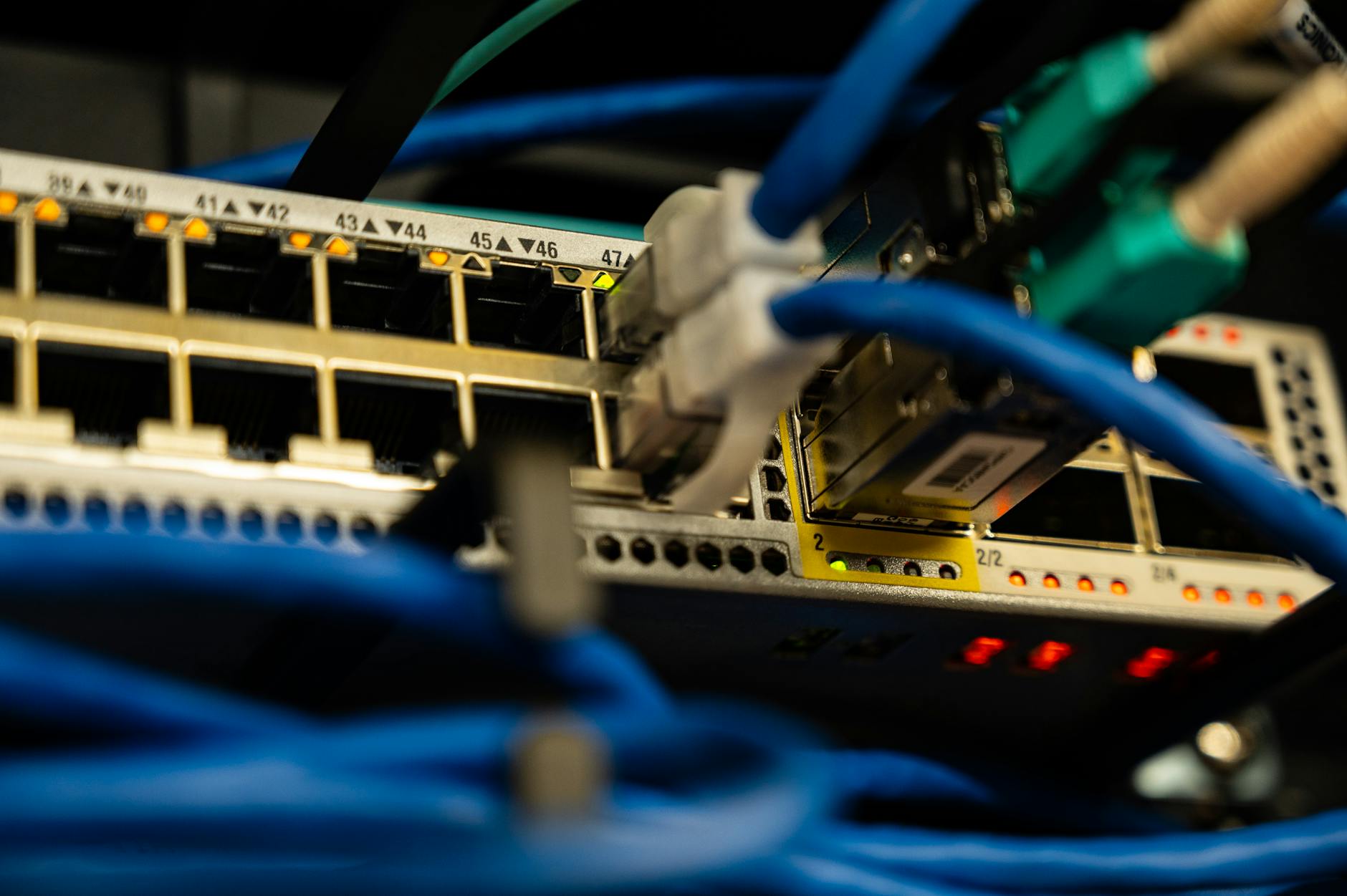 MikroTik switch portlarına bağlı UTP CAT6 ethernet kabloları