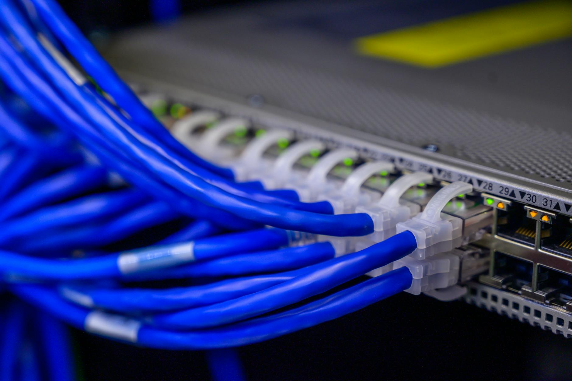 Ethernet patch panel ve ag baglantisi altyapisi gorseli